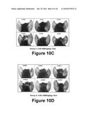 Herbal Combinations for Treating Eczema diagram and image