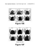 Herbal Combinations for Treating Eczema diagram and image