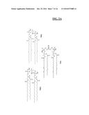 CARDIOLIPIN-TARGETED PEPTIDES INHIBIT BETA-AMYLOID OLIGOMER TOXICITY diagram and image