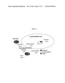 MATERIALS AND METHODS FOR THE TREATMENT OF CELIAC DISEASE diagram and image