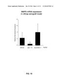 Composition for Treating Prostate Cancer diagram and image