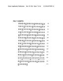 METHOD OF TREATING OR PREVENTING BENIGN PROSTATIC HYPERPLASIA USING     MODIFIED PORE-FORMING PROTEINS diagram and image