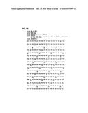 METHOD OF TREATING OR PREVENTING BENIGN PROSTATIC HYPERPLASIA USING     MODIFIED PORE-FORMING PROTEINS diagram and image