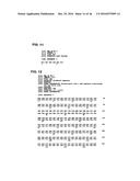 METHOD OF TREATING OR PREVENTING BENIGN PROSTATIC HYPERPLASIA USING     MODIFIED PORE-FORMING PROTEINS diagram and image