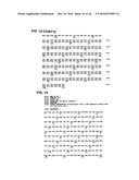 METHOD OF TREATING OR PREVENTING BENIGN PROSTATIC HYPERPLASIA USING     MODIFIED PORE-FORMING PROTEINS diagram and image