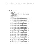 METHOD OF TREATING OR PREVENTING BENIGN PROSTATIC HYPERPLASIA USING     MODIFIED PORE-FORMING PROTEINS diagram and image