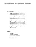 METHOD OF TREATING OR PREVENTING BENIGN PROSTATIC HYPERPLASIA USING     MODIFIED PORE-FORMING PROTEINS diagram and image