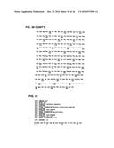 METHOD OF TREATING OR PREVENTING BENIGN PROSTATIC HYPERPLASIA USING     MODIFIED PORE-FORMING PROTEINS diagram and image