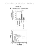 COMPOSITIONS AND METHODS TO TREAT INFLAMMATORY JOINT DISEASE diagram and image