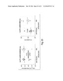 METHODS AND COMPOSITIONS RELATING TO SYNTHETIC BETA-1,6 GLUCOSAMINE     OLIGOSACCHARIDES diagram and image