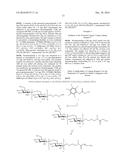 METHODS AND COMPOSITIONS RELATING TO SYNTHETIC BETA-1,6 GLUCOSAMINE     OLIGOSACCHARIDES diagram and image