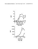 VECTORS FOR MOLECULE DELIVERY TO CD11b EXPRESSING CELLS diagram and image