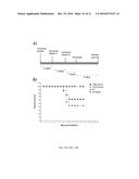 ENGINEERED VESICLES COMPRISING ANTIGENIC PEPTIDES AND THE USES THEREOF AS     MODULATORS OF IMMUNE RESPONSES diagram and image