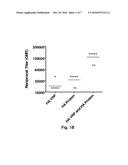 ALPHAVIRUS REPLICON PARTICLES MATCHED TO PROTEIN ANTIGENS AS IMMUNOLOGICAL     ADJUVANTS diagram and image