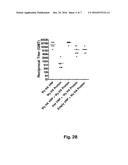 ALPHAVIRUS REPLICON PARTICLES MATCHED TO PROTEIN ANTIGENS AS IMMUNOLOGICAL     ADJUVANTS diagram and image