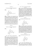 HOMOGENOUS SUSPENSION OF IMMUNOPOTENTIATING COMPOUNDS AND USES THEREOF diagram and image