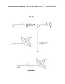 Gd(III)-Dithiolane Gold Nanoparticle Conjugates diagram and image