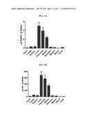 Gd(III)-Dithiolane Gold Nanoparticle Conjugates diagram and image