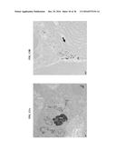 Gd(III)-Dithiolane Gold Nanoparticle Conjugates diagram and image