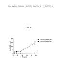 Gd(III)-Dithiolane Gold Nanoparticle Conjugates diagram and image