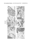 Gd(III)-Dithiolane Gold Nanoparticle Conjugates diagram and image