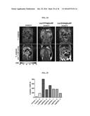 Gd(III)-Dithiolane Gold Nanoparticle Conjugates diagram and image