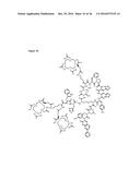 Collagen Imaging Compositions diagram and image