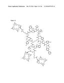 Collagen Imaging Compositions diagram and image