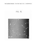 MICELLE CONTAINING BUBBLES FOR DRUG DELIVERY AND METHOD FOR MANUFACTURING     SAME diagram and image