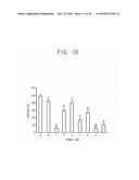 MICELLE CONTAINING BUBBLES FOR DRUG DELIVERY AND METHOD FOR MANUFACTURING     SAME diagram and image