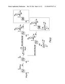 COMPOSITIONS FOR TARGETED IMAGING AND THERAPY diagram and image