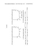 COMPOUNDS FOR USE IN DIAGNOSING AND TREATING MELANOMA, INCLUDING     METASTATIC MELANOMA AND METHODS RELATED TO SAME diagram and image
