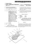 APPARATUSES AND METHODS FOR NEGATIVE PRESSURE WOUND THERAPY diagram and image