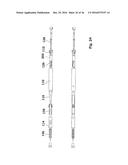 Injection Device diagram and image