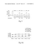 METHOD FOR TREATING SPINOCEREBELLAR ATAXIAS diagram and image