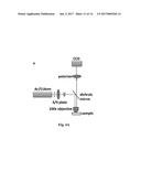 PREPARATION OF NANORODS diagram and image