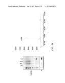 Production of Therapeutic Proteins in Photosynthetic Organisms diagram and image