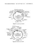 BIOCONTROL diagram and image