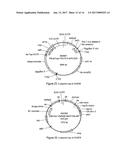 BIOCONTROL diagram and image