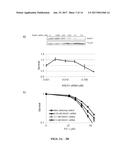 METHODS OF TREATING CANCER USING RAD51 SMALL MOLECULE STIMULATORS diagram and image