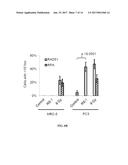 METHODS OF TREATING CANCER USING RAD51 SMALL MOLECULE STIMULATORS diagram and image