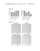 MITOCHONDRIAL DELIVERY OF 3-BROMOPYRUVATE diagram and image