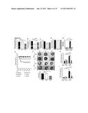 IRON CHELATORS FOR TREATING AND PREVENTING CELL DEATH AND ORGAN DAMAGE     FOLLOWING AN ISCHEMIC EVENT diagram and image