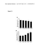 IRON CHELATORS FOR TREATING AND PREVENTING CELL DEATH AND ORGAN DAMAGE     FOLLOWING AN ISCHEMIC EVENT diagram and image