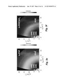 FLEXIBLE ORGANIC TRANSISTORS WITH CONTROLLED NANOMORPHOLOGY diagram and image