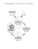 SYSTEM AND METHOD FOR PRODUCING A PLANT diagram and image