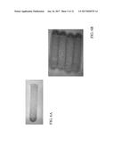 COATED IMPLANTS diagram and image