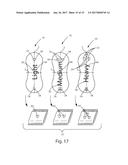 ABSORBENT ARTICLE HAVING A FUNCTIONAL ENHANCEMENT INDICATOR diagram and image