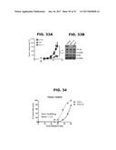 Use of Disulfiram for Inflammatory Breast Cancer Therapy diagram and image