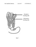 SUBSTITUTED 5-AMINOTHIENO[2,3-C]PYRIDAZINE-6-CARBOXAMIDE ANALOGS AS     POSITIVE ALLOSTERIC MODULATORS OF THE MUSCARINIC ACETYLCHOLINE RECEPTOR     M4 diagram and image